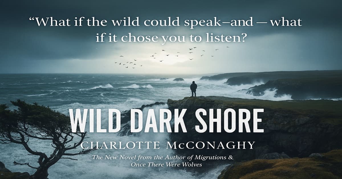 Book Lovers, Prepare to Have Your Heart Shattered and Rebuilt